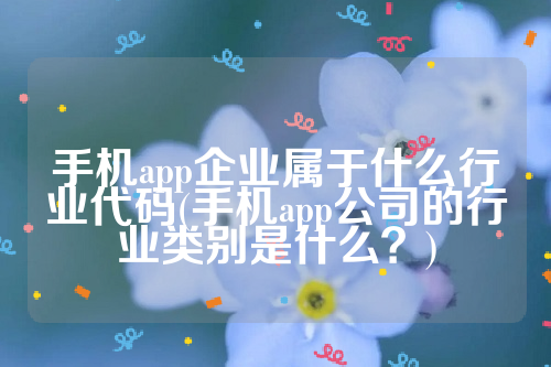 手机app企业属于什么行业代码(手机app公司的行业类别是什么？)