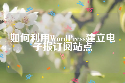 如何利用WordPress建立电子报订阅站点