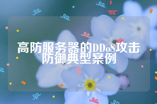 高防服务器的DDoS攻击防御典型案例