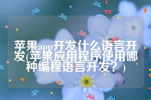 苹果app开发什么语言开发(苹果应用程序使用哪种编程语言开发？)