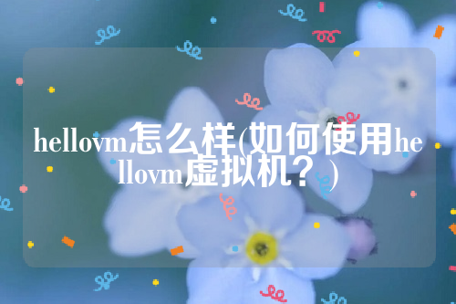 hellovm怎么样(如何使用hellovm虚拟机？)