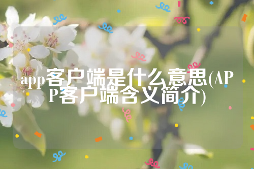 app客户端是什么意思(APP客户端含义简介)