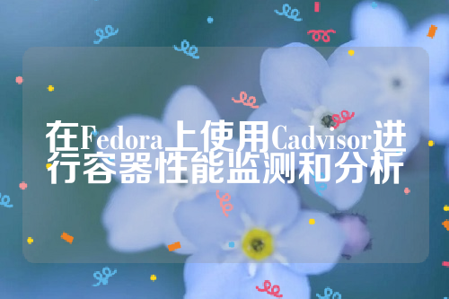 在Fedora上使用Cadvisor进行容器性能监测和分析