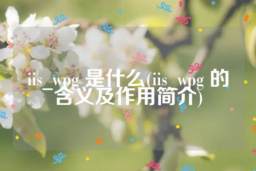 iis_wpg 是什么(iis_wpg 的含义及作用简介)