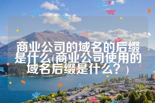 商业公司的域名的后缀是什么(商业公司使用的域名后缀是什么？)