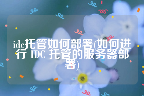 idc托管如何部署(如何进行 IDC 托管的服务器部署)