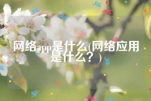 网络app是什么(网络应用是什么？)