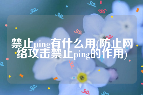 禁止ping有什么用(防止网络攻击禁止ping的作用)