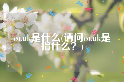 co.uk是什么(请问co.uk是指什么？)