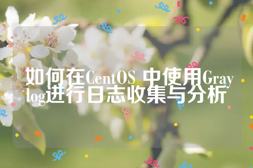  如何在CentOS 中使用Graylog进行日志收集与分析