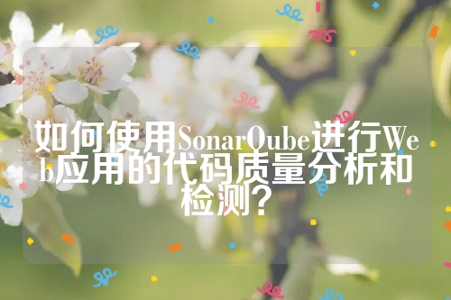 如何使用SonarQube进行Web应用的代码质量分析和检测？