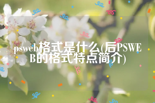 psweb格式是什么(后PSWEB的格式特点简介)