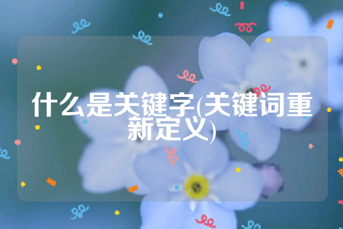 什么是关键字(关键词重新定义)