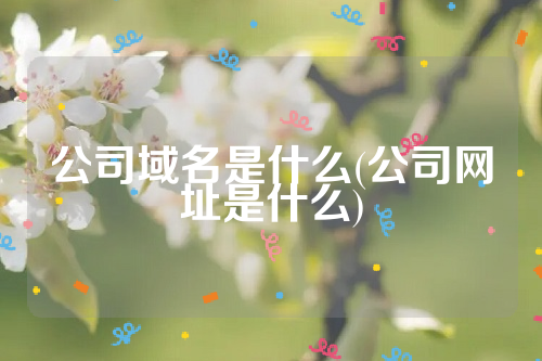 公司域名是什么(公司网址是什么)