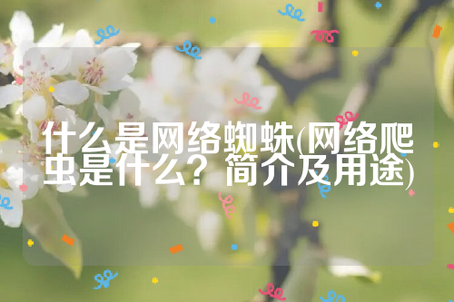 什么是网络蜘蛛(网络爬虫是什么？简介及用途)