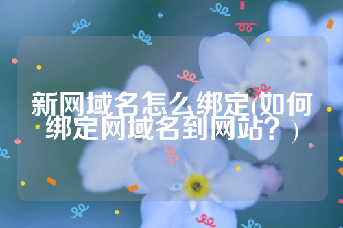 新网域名怎么绑定(如何绑定网域名到网站？)