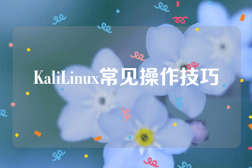 KaliLinux常见操作技巧