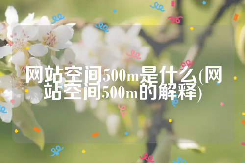 网站空间500m是什么(网站空间500m的解释)