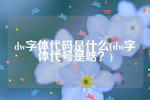 dw字体代码是什么(dw字体代号是啥？)