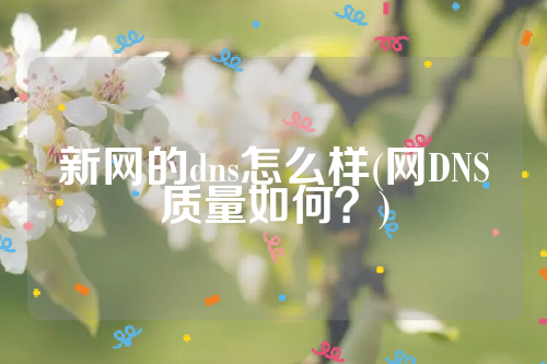 新网的dns怎么样(网DNS质量如何？)