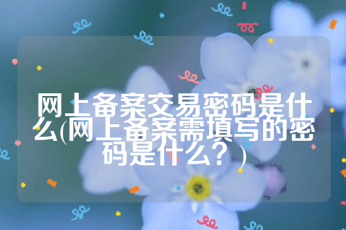 网上备案交易密码是什么(网上备案需填写的密码是什么？)