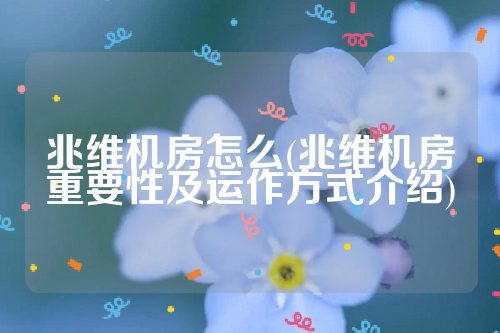 兆维机房怎么(兆维机房重要性及运作方式介绍)