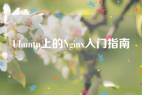 Ubuntu上的Nginx入门指南