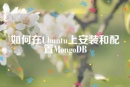 如何在Ubuntu上安装和配置MongoDB