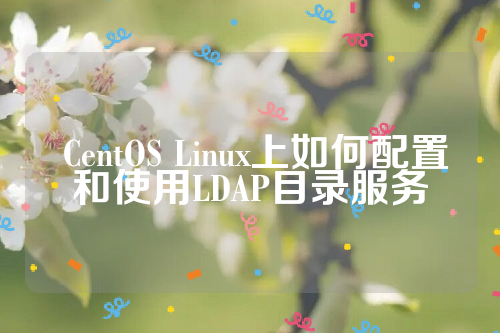  CentOS Linux上如何配置和使用LDAP目录服务