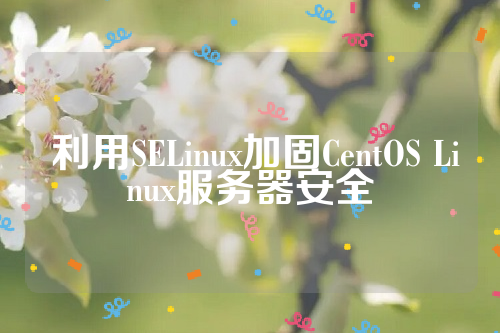  利用SELinux加固CentOS Linux服务器安全