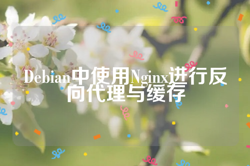 Debian中使用Nginx进行反向代理与缓存