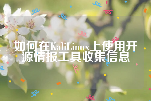 如何在KaliLinux上使用开源情报工具收集信息