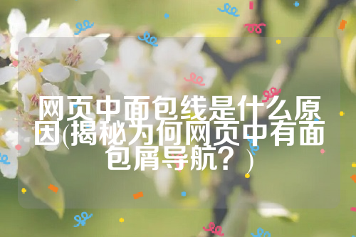 网页中面包线是什么原因(揭秘为何网页中有面包屑导航？)