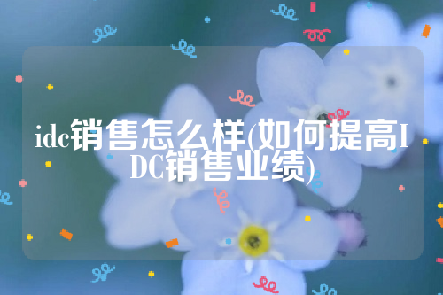 idc销售怎么样(如何提高IDC销售业绩)