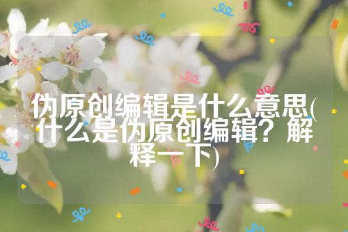 伪原创编辑是什么意思(什么是伪原创编辑？解释一下)