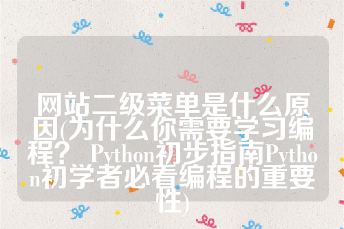 网站二级菜单是什么原因(为什么你需要学习编程？ Python初步指南Python初学者必看编程的重要性)