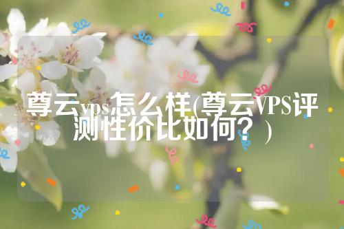 尊云vps怎么样(尊云VPS评测性价比如何？)