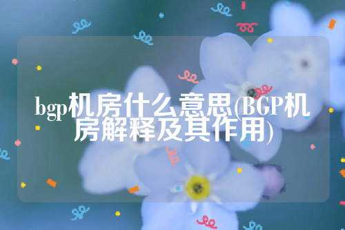 bgp机房什么意思(BGP机房解释及其作用)