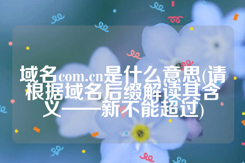 域名com.cn是什么意思(请根据域名后缀解读其含义——新不能超过)