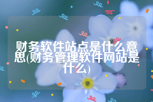 财务软件站点是什么意思(财务管理软件网站是什么)