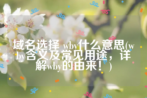 域名选择 wby什么意思(wby含义及常见用途，详解wby的由来！)