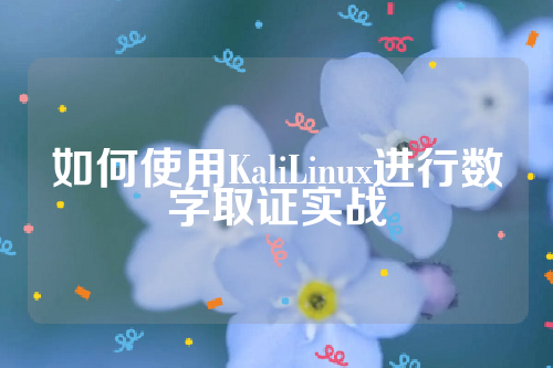 如何使用KaliLinux进行数字取证实战