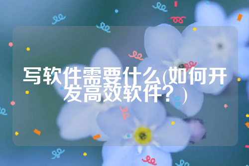 写软件需要什么(如何开发高效软件？)