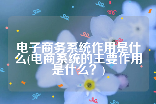 电子商务系统作用是什么(电商系统的主要作用是什么？)