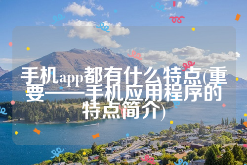 手机app都有什么特点(重要——手机应用程序的特点简介)