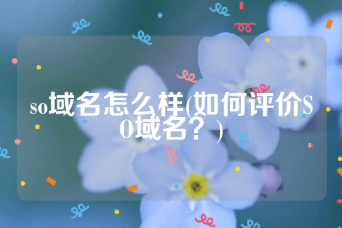 so域名怎么样(如何评价SO域名？)