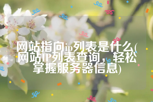 网站指向ip列表是什么(网站IP列表查询，轻松掌握服务器信息)