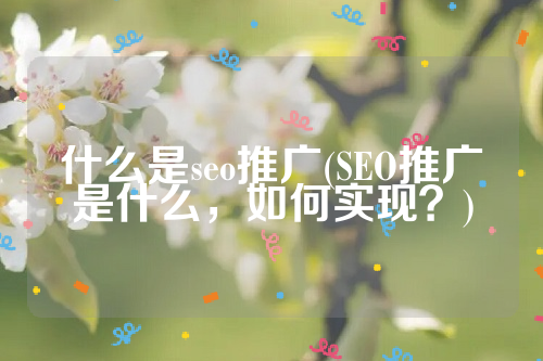 什么是seo推广(SEO推广是什么，如何实现？)