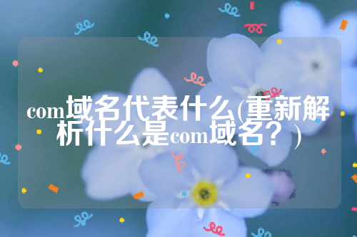 com域名代表什么(重新解析什么是com域名？)