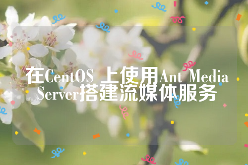  在CentOS 上使用Ant Media Server搭建流媒体服务